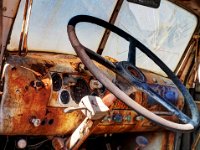 Rusty Dash